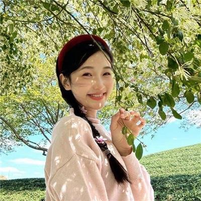 敌后便衣队传奇